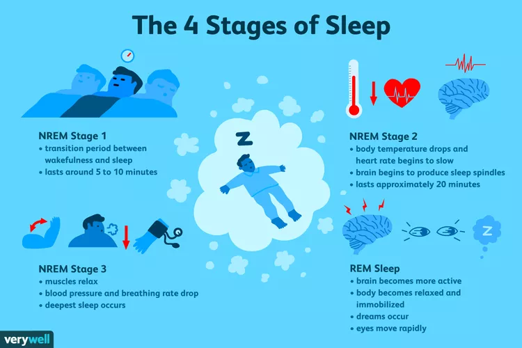 4 مرحله خواب