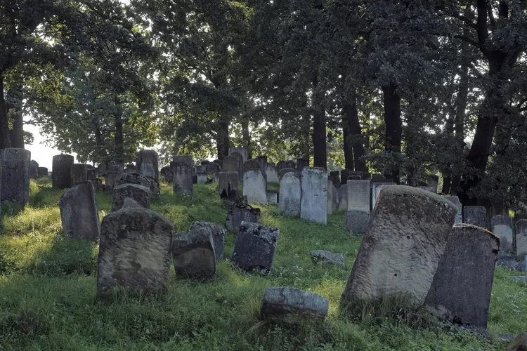 مرده‌هراسی یا نکروفوبیا: مقابله با ترس از چیزهای مرده