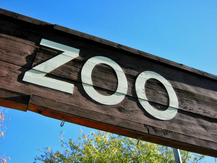 ترس از حیوانات (Zoophobia) چیست؟